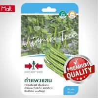 ราคา เมล็ดพันธุ์ ถั่วพู กำแพงแสน 20เมล็ด ตราศรแดง (19262111893)