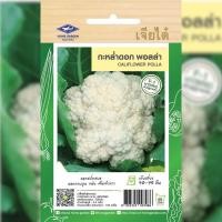 ราคา เมล็ดพันธุ์ กะหล่ำดอก พอลล่า ตราเจียไต๋ (19540000973)