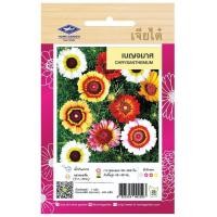 ราคา เบญจมาศ CT FW 018 ดอกไม้ เจียไต๋ ดอกไม้ซอง ผักซอง เมล็ดพันธุ์ เมล็ดพันธุ์ผัก เมล็ดพันธุ์ดอกไม้ ดอกไม้เจียไต๋ ตราเครื่องบิน (20058135548)