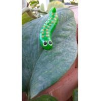 ราคา หนอนชาเขียว น่ารัก น่าเอ็นดู ของเล่นเด็ก ของแกล้งกัน (8409746156)