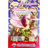ราคา เมล็ดกวางตุ้งฮ่องเต้สีม่วง จักรพรรดิแดง Pak Choy MT F1 59 ตราภูเขาทอง เมล็ดกวางตุ้งฮ่องเต้ เมล็ดพันธุ์กวางตุ้งฮ่องเต้ เมล็ดพันธุ์ผัก (20135741706)
