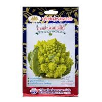 ราคา เมล็ดกะหล่ำดอกเจดีย์ ตราภูเขาทอง broccolo romanesco MT F1 58 ประมาณ200เมล็ด เมล็ดกะหล่ำดอก เมล็ดพันธุ์กะหล่ำดอก เมล็ดผักสวนครัว (20135362829)