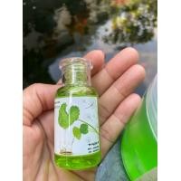 ราคา หัวเชื้อเซรั่มใบบัวบก 30ml (12877708684)