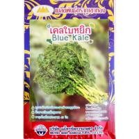 ราคา เมล็ดเคลใบหยิก Blue Kale MT LT 21 ตราภูเขาทอง ปริมาณ100เมล็ด เมล็ดพันธุ์เคลใบหยิก เมล็ดเคล เมล็ดพันธุ์เคล เมล็ดคะน้าเคลใบหยิก เคลลี่บูล (20136492467)