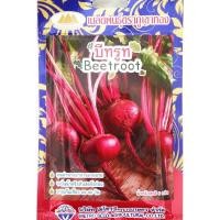 ราคา เมล็ดบีทรูท Beetroot MT F1 56 ตราภูเขาทอง เมล็ดพันธุ์บีทรูท บีทรูท เมล็ดพันธุ์ผัก เมล็ดผักสวนครัว (20135548762)