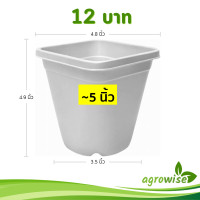 ราคา กระถางสี่เหลี่ยม แคคตัส ไม้กราฟ ทรงสูง 4 8 5 นิ้ว สีอิฐ สีขาว Bundle 10 ใบ (22712987690)