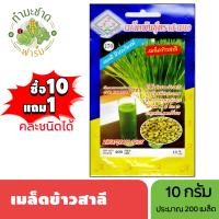 ราคา 3A ซื้อ10แถม1 เมล็ดพันธุ์ ข้าวสาลี ขนาด10กรัม ประมาณ200เมล็ด WHEATGRASS ต้นอ่อนข้าวสาลี เมล็ดพันธุ์พืช เมล็ดผัก ปลูกผักสวนครัว (3175274049)