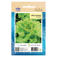 ราคา เมล็ดพันธุ์ ผักกาดหอม ตราเจียไต๋ บรรจุ 3 กรัม 960 เมล็ด (1035518014)