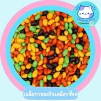 ราคา ซองมินิ Chocolate ช็อคโกแลตนำเข้า เกรดพรีเมี่ยม ขนมช็อคโกแลตแบ่งขาย 30 กรัม ช็อคหิน หินหนึบ M M ขนมขายหน้าโรงเรียน ร้านชำ ขายง่าย กำไรดี (21971691636)