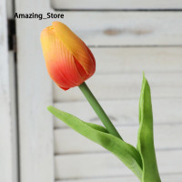 ราคา Amazing Store Amazing Store CLS2404A 30K ปิด150K สั่งซื้อ โชว์รูมดอกทิวลิปจำลองมีบ้านที่ดี (22329640334)