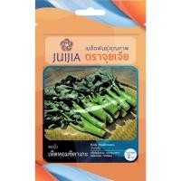 ราคา เมล็ดพันธุ์ คะน้าเห็ดหอม ชิตาเกะ ตราจุยเจีย บรรจุ 2 กรัม (9074461029)
