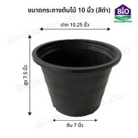 ราคา กระถางต้นไม้พลาสติก กระถางพลาสติก กระถางปลูกต้นไม้ สีดำ ขนาด 2 5 3 4 5 6 8 10 12 15 17 นิ้ว (20000584399)