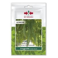 ราคา บวบงู นาคราช SD OP 002 ผักซอง ศรแดง เมล็ดพันธุ์ บวบ เมล็ดพันธุ์ผัก ผักสวนครัว ผักศรแดง (20084314625)