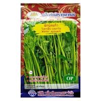ราคา เมล็ดผักบุ้งแก้ว โยตาเฟ็น เย็นตาโฟ Water spinach MT OP 146 ตราภูเขาทอง เมล็ดพันธุ์ผักบุ้งแก้ว เมล็ดพันธุ์ผัก เมล็ดพันธุ์พืช เมล็ดผักบุ้ง ผักสวน (20127452814)