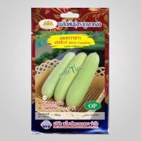 ราคา เมล็ดแตงกวาขาว คริสปิ้ไวท์ White Cucumber MT OP 138 ตราภูเขาทอง เมล็ดพันธุ์แตงกวาขาว เมล็ดพันธุ์ผัก เมล็ดพันธุ์ผักสวนครัว เมล็ดแตงกวา เมล็ดพันธ (20127779534)