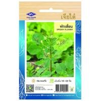 ราคา ผักเสี้ยน CT OP 139 ผักซอง เจียไต๋ เมล็ดพันธุ์ผัก เมล็ดผัก เมล็ดพืช ผักสวนครัว ซองประมาณ 1900 เมล็ด (20038811514)