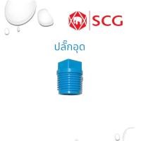 ราคา ข้อต่อ PVC ปลั๊กอุดเกลียวนอก ฝาครอบท่อ ฝาครอบเกลียวใน นิปเปิ้ล 1 2 4หุน หนา ตราช้าง SCG (20123826207)