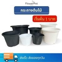 ราคา กระถางต้นไม้ 2 นิ้ว 3 นิ้ว 4 นิ้ว 5 5 นิ้ว 6 นิ้ว 8 นิ้ว 10 นิ้ว 11 นิ้ว 12 นิ้ว (22822097758)