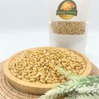 ราคา PINE NUT ไพน์นัท เมล็ดสน ธัญพืช ถั่วคุณภาพเพื่อสุขภาพ เกรด A By Happy Fruits (22013335541)