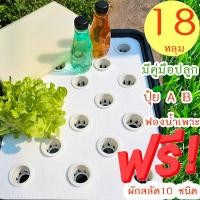 ราคา ชุดปลูกไฮโดรโปนิกส์ 18 หลุม 10แถม1 ถูกที่สุด 199 บ ชุดปลูกผักสำเร็จพร้อมปลูก ไฮโดรโปนิกส์แบบน้ำนิ่ง หอพัก คอนโด (21762546355)