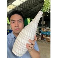 ราคา แจกันจัดดอกไม้ แจกันไม้มะม่วง ขนาดสูง 15นิ้ว ทรงสูง งามมากๆ สีขาวขีดข้างๆ แจกันขนาดสูง แบบ 9122024 ออกใบกำก (22732514361)