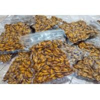 ราคา ดักแด้ ตัวไหมแช่แข็ง ดักแด้แช่แข็ง ตัวอวบ หอม อร่อย สินค้าขายดี ราคา ถูก ส่ง (21903010591)