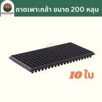 ราคา ถาดเพาะกล้า 10ใบ 32หลุม 50หลุม 72หลุม 105หลุม 128หลุม 200หลุม 80 กรัม ถาดเพาะชำ ถาดเพาะต้นกล้า ถาดเพาะต้นอ่อน ถาดเพาะเมล็ด ถาดเพาะ ถาดเพาะปลูก (21037063745)