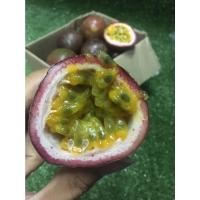 ราคา สดใหม่จากฟาร์มทุกวัน เสาวรส น้ำเยอะ มีใบรับรองปลอดสาร รวมส่งถูก เสาวรสพันธุ์ไทยใช้ทำน้ำและขนม ราคา ถูก ส่ง (20893283637)