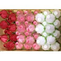 ราคา เหรียญโปรยทาน ดอกบัวตูม 50 ชิ้น ตัวเปล่า (22818266160)