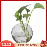ราคา Gispark ผนังดอกไม้ Terrarium DIY สวน F สนามหญ้าเครื่องประดับ (21397392915)