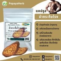 ราคา ม้ากระทืบโรงผง 100 แคปซูล สมุนไพร100 (18559925088)