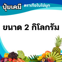 ราคา ปุ๋ยเคมี 16 16 16 ปุ๋ยสูตร สูตรเสมอ เรือใบไข่มุก ปุ๋ยเร่งต้น ปุ๋ยเร่งดอก ปุ๋ยเร่งผล ปุ๋ยเร่งการเจริญเติบโต บำรุงทุกส่วน ใช้ได้กับพืชทุกชนิด (21908782455)