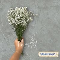 ราคา ช่อดอกไม้แห้ง ช่อดอกสุ่ยสีขาว สุ่ยแห้ง ช่อสุ่ยแห้ง (21753886697)