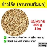 ราคา ข้าวโอ๊ต สำหรับนกและสัตว์ฟันแทะ แบ่งขาย (9693763830)