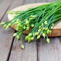 ราคา เมล็ดผักกุยช่ายสำหรับเพาะปลูก บรรจุซองละ 150 เมล็ด (13333956905)