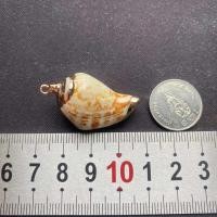 ราคา จี้เปลือกหอยสังข์ธรรมชาติ จี้หอยชุบทอง seashells pendant gold plated pendant (22396690269)