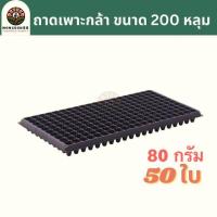 ราคา ถาดเพาะกล้า 200 หลุม 80 กรัม ถาดเพาะเมล็ด ถาดเพาะชำ ถาดเพาะต้นกล้า ถาดเพาะต้นอ่อน ถาดเพาะ ถาดเพาะปลูกผัก เมล็ด เมล็ดพันธุ์ (22576081100)