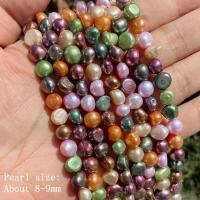 ราคา ไข่มุกธรรมชาติแท้ลูกปัดมุกน้ำจืดลูกปัดไข่มุกบาร็อคหลวม Perles สำหรับ DIY สร้อยข้อมือประดิษฐ์สร้อยคอเครื่องประดับทำ14 เกลียว (18618054260)