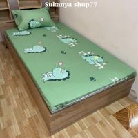 ราคา ชุดที่นอนปิคนิค 4 ชิ้น ขนาด 3 5ฟุต ครบชุดพร้อมนอน ปิคนิคแคมป์ปิ้ง สดวกสบาย ราคาถูกที่สุด ส่งไว 1 3วันได้รับ (21922162819)