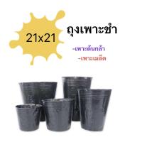 ราคา พร้อมส่ง ถุงดำเพาะชำ ถุงดำอนุบาลต้นไม้ ถุงพลาสติกเพาะชำ ถุงเพาะเมล็ด ถุงเพาะต้นอ่อน กระถางถุงดำเพาะพันธุ์ (21236515324)