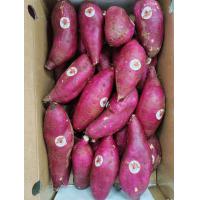 ราคา สด ใหม่ จาก ฟาร์ม ทุกวัน มันหวานญี่ปุ่นตรามงกุฏ Size M ขายยกลัง 5 กิโลกรัม เนื้อสีเหลือง มันปลูกที่เวียดนาม (21756023733)