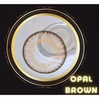 ราคา คอนแทคเลนส์ บิ๊กอาย Opal Brown Gray Montra ลายฮิต ขายดีมาก กรองแสงกันยูวี (21550316580)
