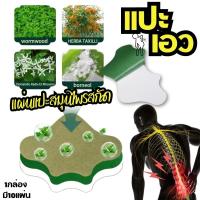 ราคา พลาสเตอร์แก้ปวด แผ่นแปะสมุนไพร 1กล่องบรรจุ10แผ่น แผ่นแปะบรรเทาปวด ความปวดเมื่อย อักเสบ บริเวณเอว Hip Waist Pain Relief Patch (21784916839)