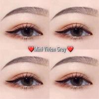ราคา คอนแทคเลนส์ ขนาดมินิ Brown Gray Mini vivian kittykawaii (17873767645)