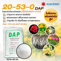 ราคา แม่ปุ๋ย ปุ๋ยเกล็ด ปุ๋ยไฮโดรโปนิกส์ ปุ๋ยระบบน้ำหยด เกรดละลายน้ำ100 ชนิดแบ่งขาย 15 0 0 0 52 34 13 0 46 8 24 24 0 0 60 ชนิดแบ่งขาย (17526666953)