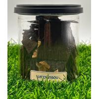 ราคา บราวนี่กรอบ จากแบรนด์ดัง ขนมบราวนี่อบกรอบรสช็อกโกแลตบราวนี่กรอบเคลือบอัลมอนด์ แบบกระปุก เข้มข้น Brownie Crackers แผ่นบาง (20742648146)