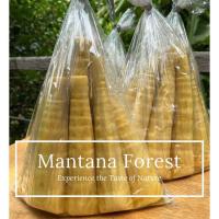 ราคา หน่อไม้สดนึ่ง สด ใหม่ หน่อไม้รวก หน่อไม้ธรรมชาติ น้ำหนัก 1 กก (22338594154)