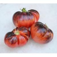ราคา เมล็ดพันธุ์ มะเขือเทศ Lovely Lush Tomato Seeds (7403138921)