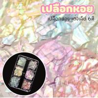 ราคา เปลือกหอย 6 สี เปลือกหอย แผ่นบาง ชุด6สีสวย เปลือกหอยติดเล็บ แต่งเล็บ ฝั่งเล็บต่อ เล็บเจล อุปกรณ์ทำเล็บ (20044585355)