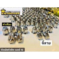 ราคา ตัวเมียฝาสูบ เลสเงิน น๊อตใส่ฝาสูบหัวปิด 10 12 ราคาตัวละ (20059090511)